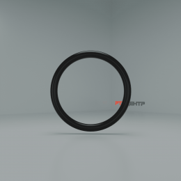 021-024-19  Кольцо ГОСТ 9833-73  (020.2-1.9)